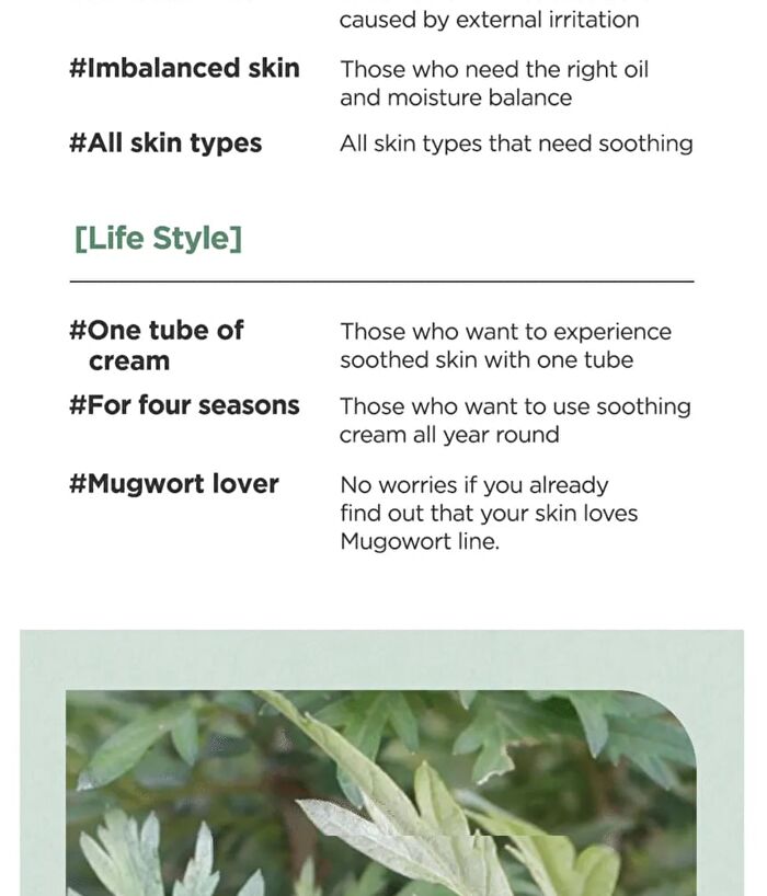 Mugwort Calming Cream - New Version - 50ml