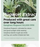 Mugwort Calming Cream - New Version - 50ml
