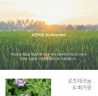 Synergy Oil - 5 Types - Unburden