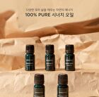 Synergy Oil - 5 Types - Unburden