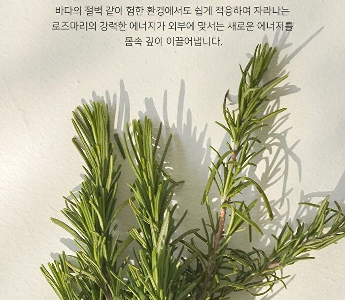 Aromatica Vitalizing Rosemary All-In-One Lotion - 300ml