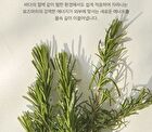 Aromatica Vitalizing Rosemary All-In-One Lotion - 300ml