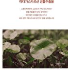 SKIN1004 Madagascar Centella Poremizing Clear Toner - 210ml