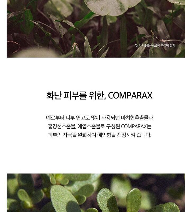 SKIN1004 Madagascar Centella Hyalu-Cica First Ampoule - 100ml