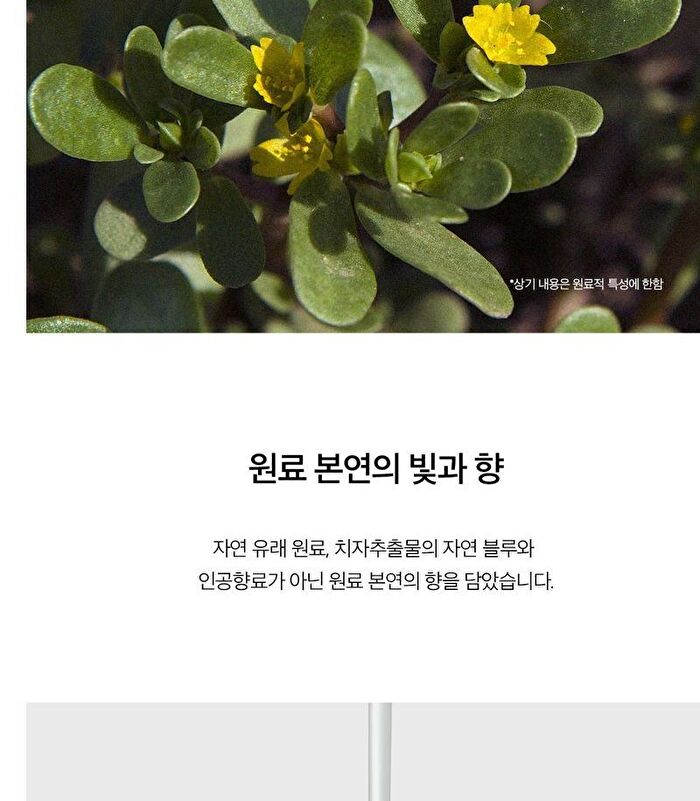 SKIN1004 Madagascar Centella Hyalu-Cica First Ampoule - 100ml