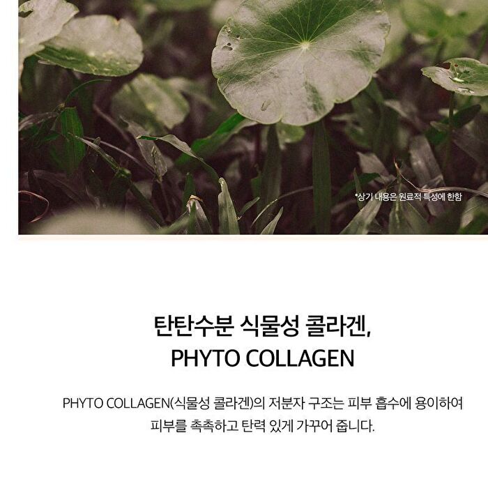 SKIN1004 Madagascar Centella Hyalu-Cica Moisture Cream - 75ml