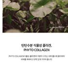 SKIN1004 Madagascar Centella Hyalu-Cica Moisture Cream - 75ml