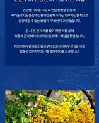 RE:BLUE Ultra Repair Cream+ - 50ml