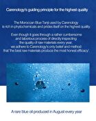 RE:BLUE Balancing Cream-In-Mist - 120ml