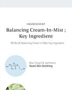 RE:BLUE Balancing Cream-In-Mist - 120ml