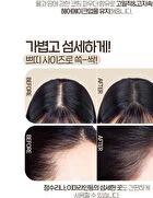 Pang Pang Hair Shadow - 3 Colors - #03 Natural Black