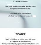 DIVE-IN Low Molecular Hyaluronic Acid Soothing Cream - 100ml