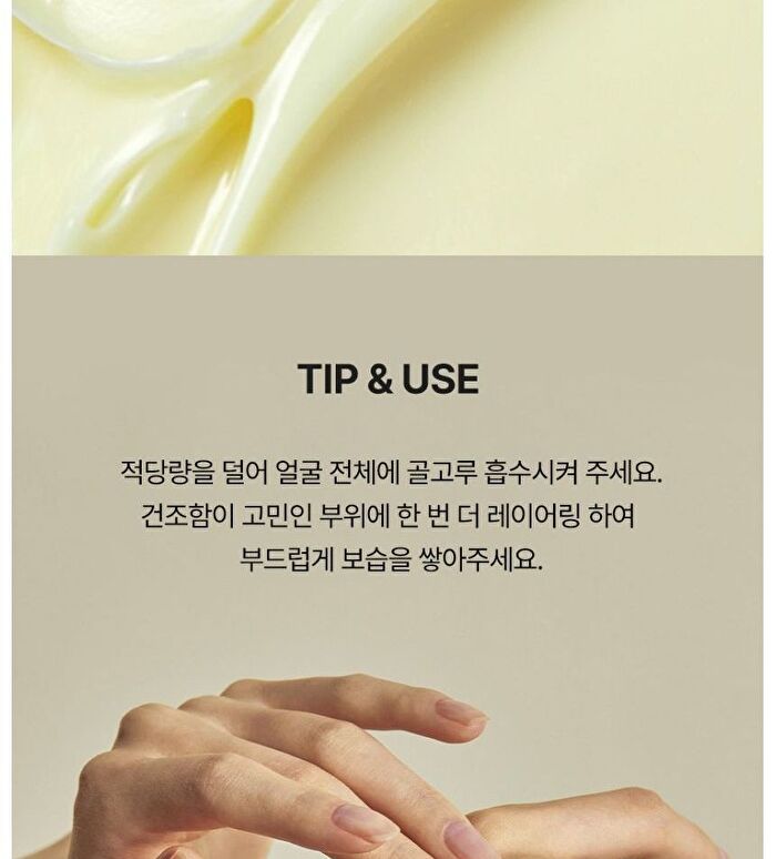 SOLID IN Ceramide Cream - 2022 Version - 70ml