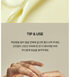 SOLID IN Ceramide Cream - 2022 Version - 70ml