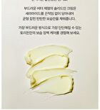 SOLID IN Ceramide Cream - 2022 Version - 70ml