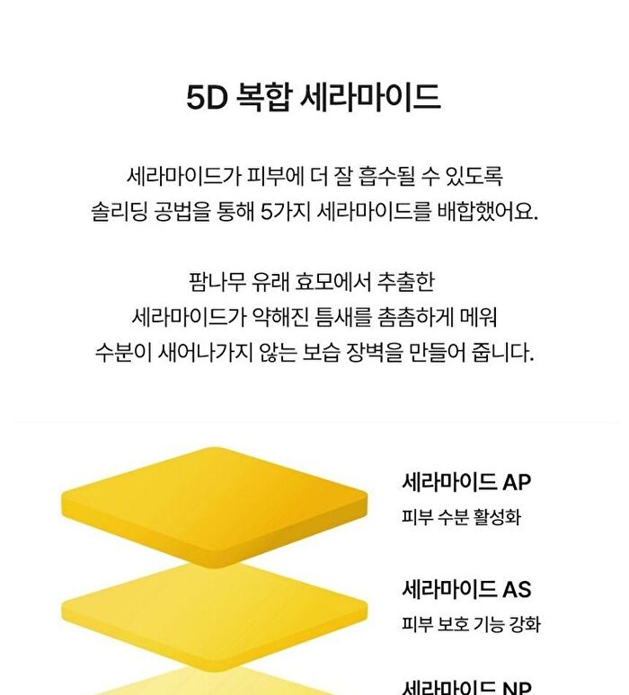 SOLID IN Ceramide Cream - 2022 Version - 70ml