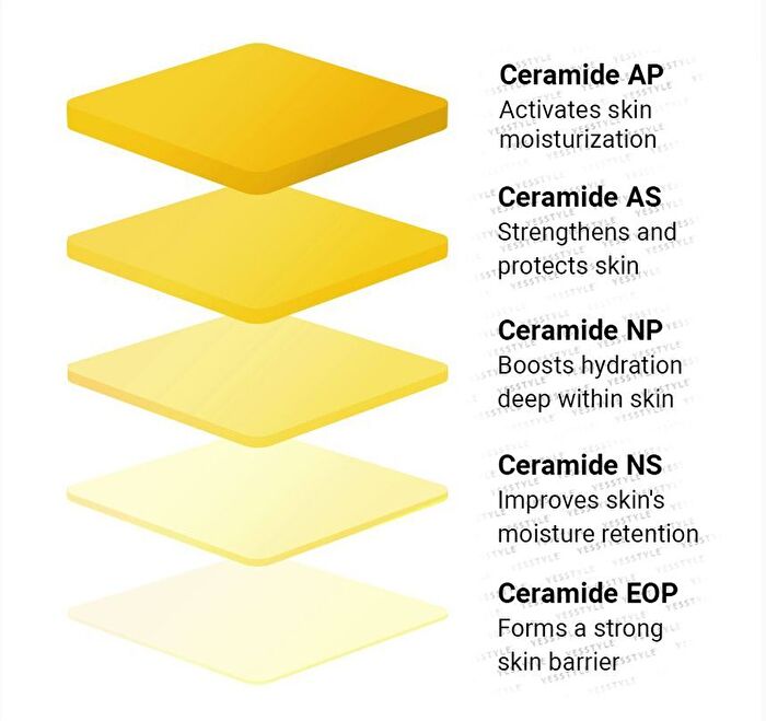 SOLID IN Ceramide Lip Essence - 11ml