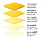 SOLID IN Ceramide Lip Essence - 11ml