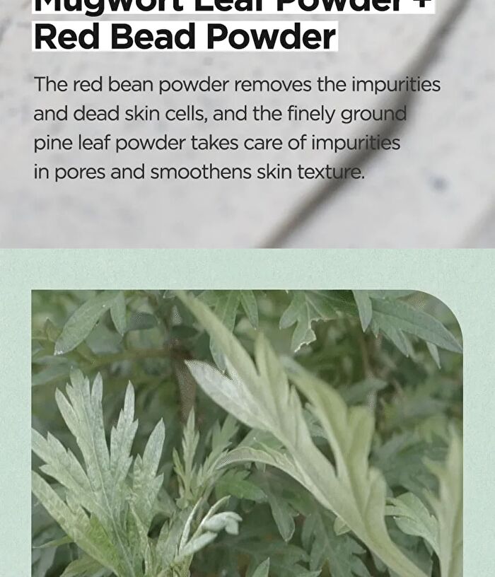 Mugwort Calming Clay Mask - New Version - 100ml