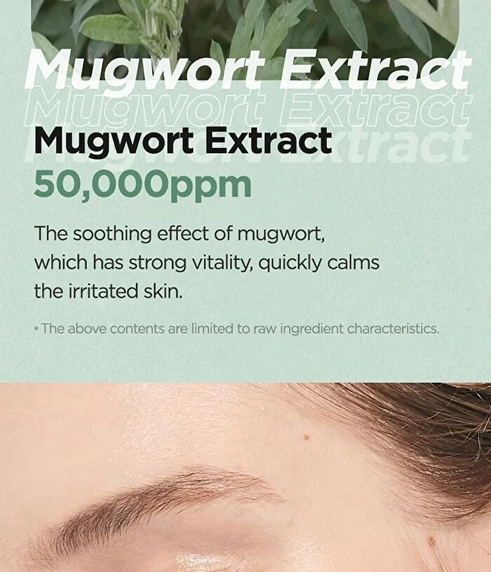 Mugwort Calming Clay Mask - New Version - 100ml
