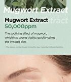 Mugwort Calming Clay Mask - New Version - 100ml