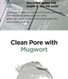 Mugwort Calming Clay Mask - New Version - 100ml