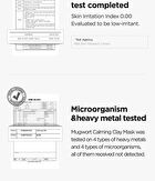 Mugwort Calming Clay Mask - New Version - 100ml