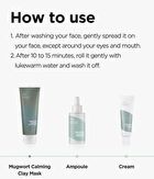 Mugwort Calming Clay Mask - New Version - 100ml