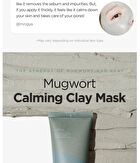 Mugwort Calming Clay Mask - New Version - 100ml
