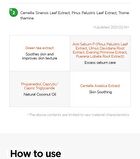 Green Tea Fresh Emulsion 120ml - New Version - 120ml
