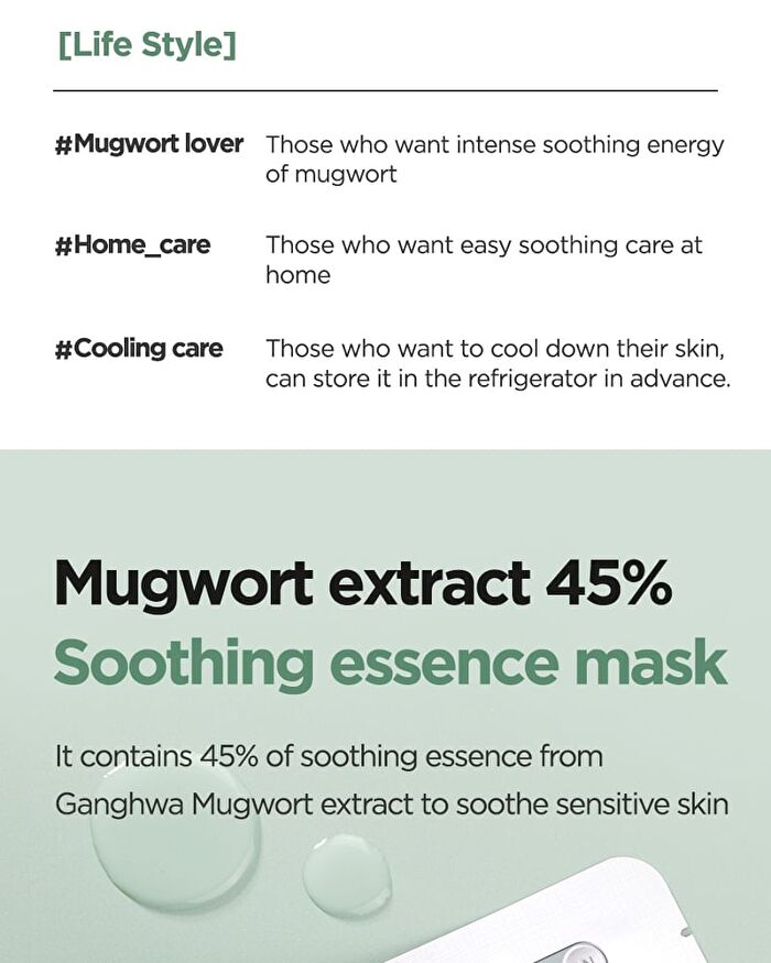Mugwort Calming Gauze Mask Set - New Version - 23g x 10 sheets