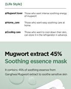 Mugwort Calming Gauze Mask Set - New Version - 23g x 10 sheets