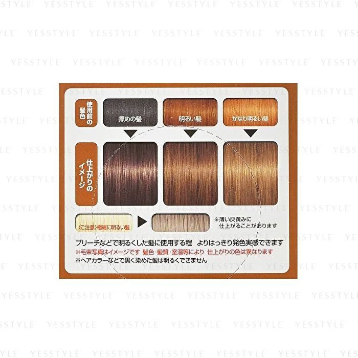 Gatsby Natural Bleach & Hair Color - Smoky Ash