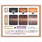 Gatsby Natural Bleach & Hair Color - Smoky Ash