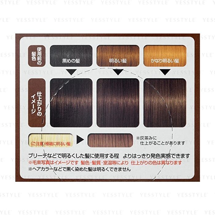 Gatsby Natural Bleach & Hair Color - Smoky Ash