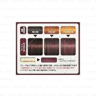 Gatsby Natural Bleach & Hair Color - Smoky Ash