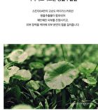 SKIN1004 Madagascar Centella Tone Brightening Capsule Cream - 75ml