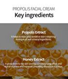 Facial Cream - 6 Types - Retinol Vital