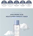 esfolio Hyaluronic Acid Houttuynia Cordata Toner - 150ml