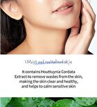 esfolio Hyaluronic Acid Houttuynia Cordata Toner - 150ml
