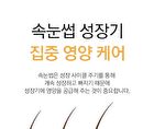 Luxe Eyelash Essence Gold - 8g