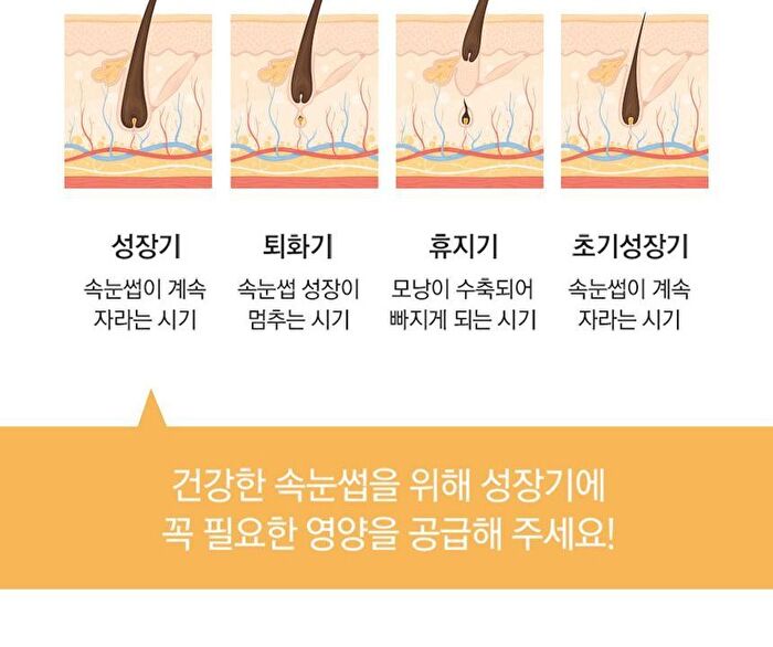 Luxe Eyelash Essence Gold - 8g