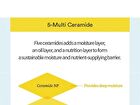 Multi Ceramide Cream - 50ml