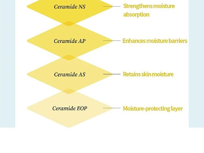 Multi Ceramide Cream - 50ml