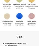 The RIGHT Shampoo Bar For Mid-Dry Scalp - 2026 Version - Grapefruit