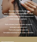 The RIGHT Shampoo Bar For Oily Scalp - 2026 Version - 120g