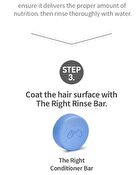 The RIGHT Conditioner Bar - 2026 Version - 120g