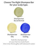 The RIGHT Conditioner Bar - 2026 Version - 120g