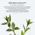 Sedum Hyaluron Pad Hydrating Touch - 75 pads