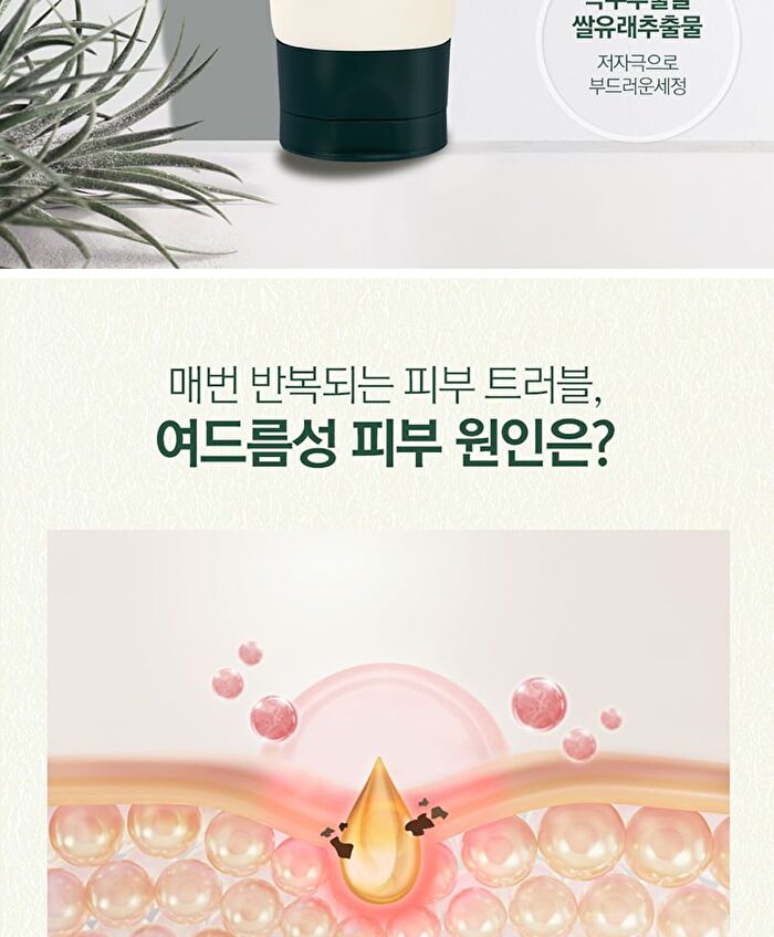 Calming Acne Cleansing Foam - 100ml